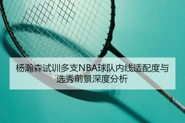 杨瀚森试训多支NBA球队内线适配度与选秀前景深度分析